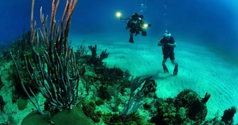 Island Hopping for Snorkeling