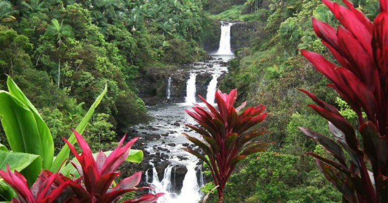 best beaches on big island for swimming
