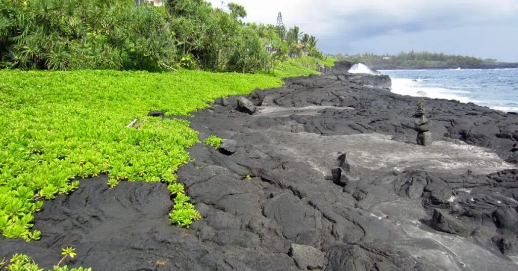 Big Island Swimming Beaches with Shade