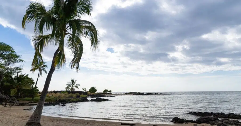 Swimmable Beaches on the Kona Side