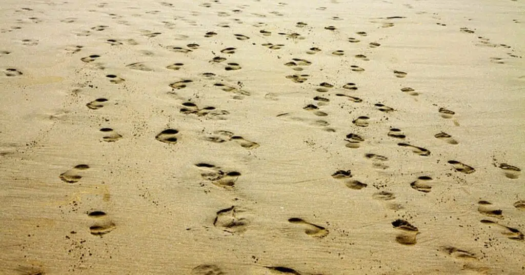 Leave Only Footprints